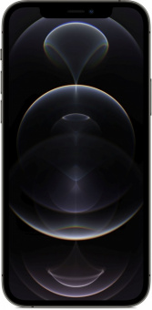 iPhone 12 Pro Max 512GB Графитовый