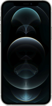 iPhone 12 Pro 256GB Серебристый