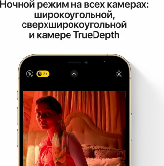 iPhone 12 Pro Max 128GB Золотой