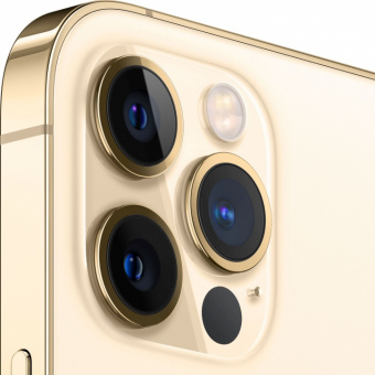 iPhone 12 Pro Max 256GB Золотой